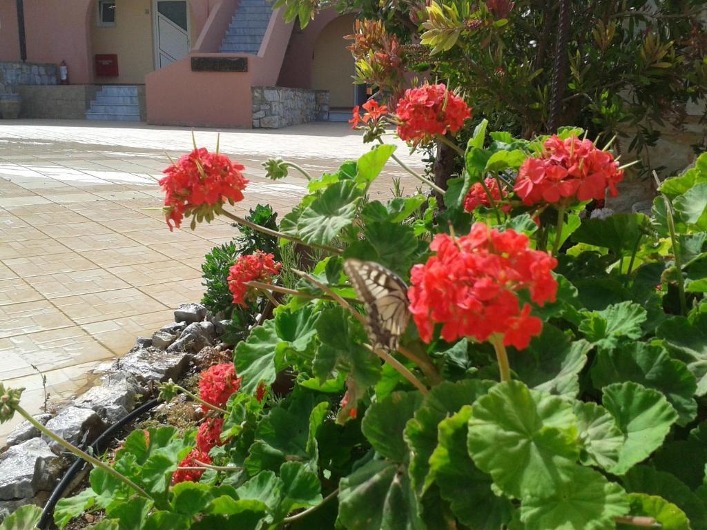 Kallicrates Village Frangokastello Buitenkant foto
